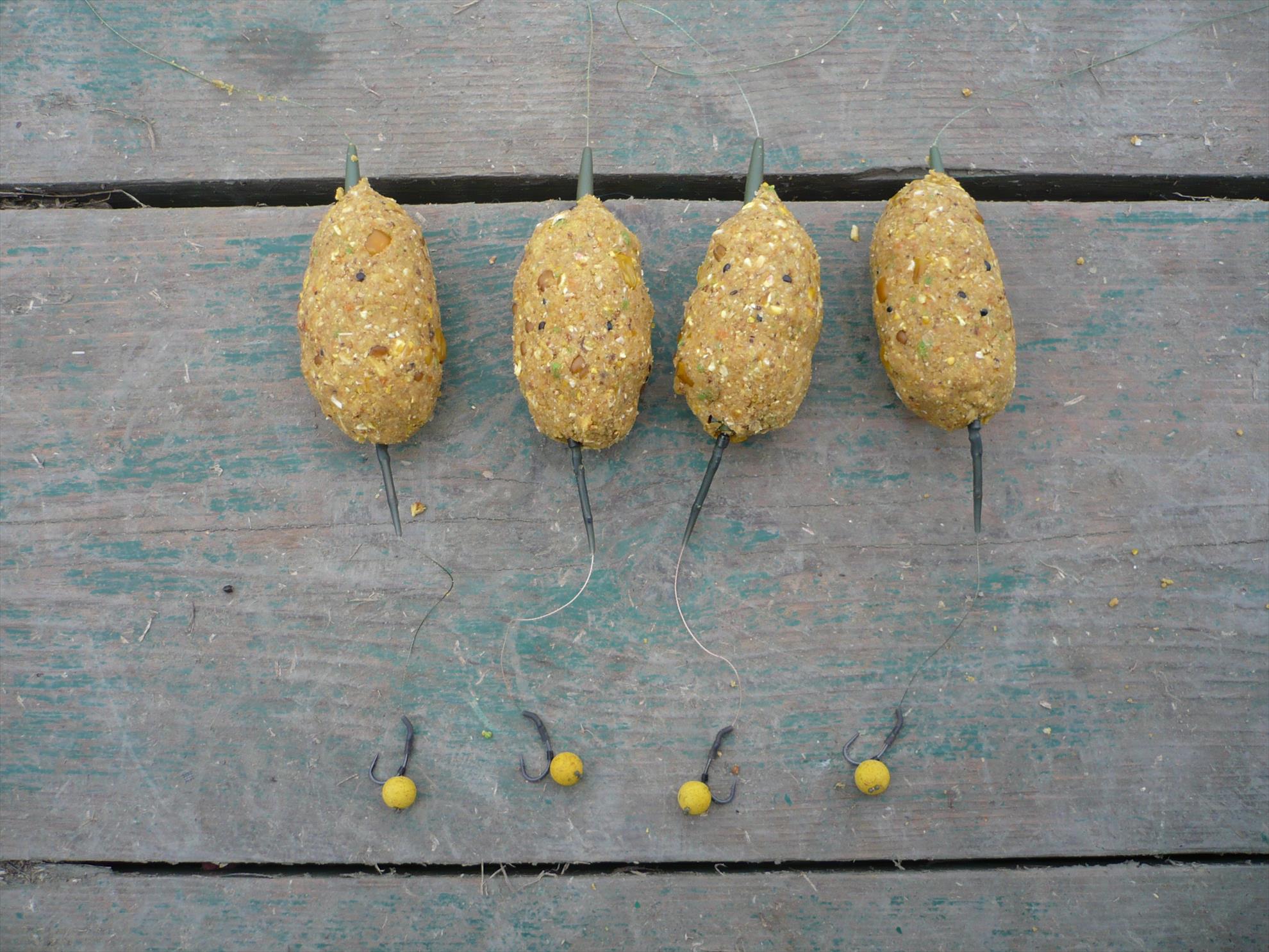 MV2 - 13.NOI.2013 - p1010914.JPG